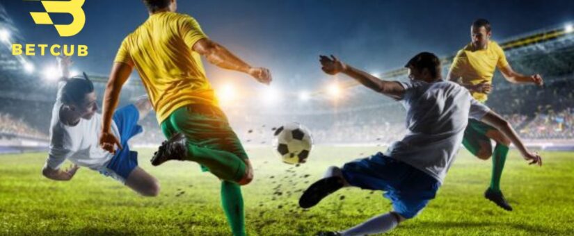 P88BET – GIẢI PHÁP PHÂN BỔ THEO NHÁNH CHO HỆ ĐẠI LÝ