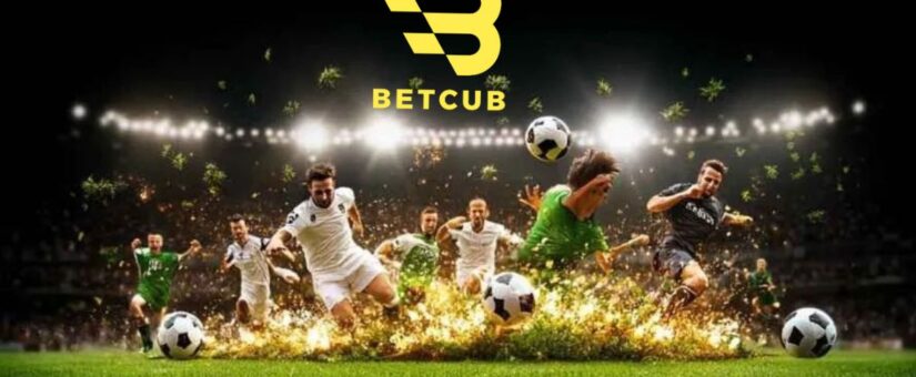 P88BET Sản phẩm thể thao đa môn dành cho đại lý BETCUB